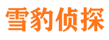 上甘岭市私家侦探公司